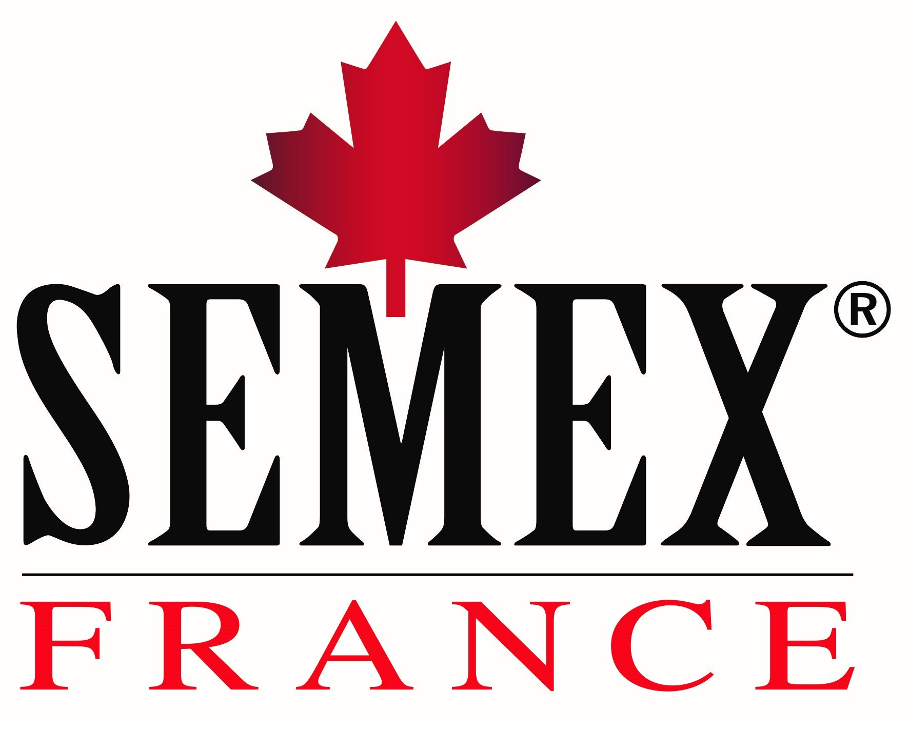 logo SEMEX (002) ok