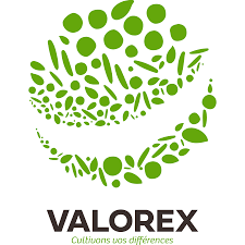 Valorex